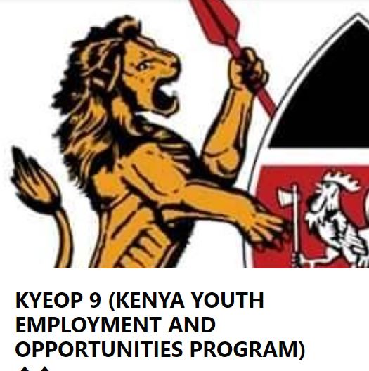 Kyeop Cycle 9 Application Form 2023 2024