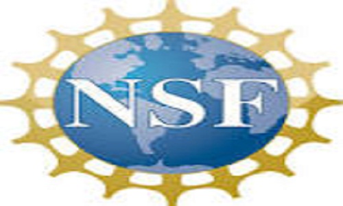 NSF Africa logo