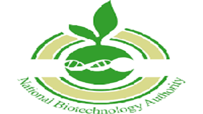 National Biotechnology Authority Vacancies 2024 Vacancy Mail Jobs In Zimbabwe