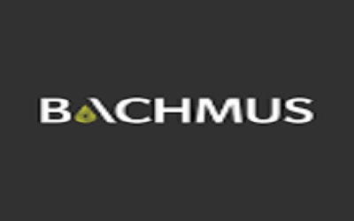 Bachmus Namibia logo