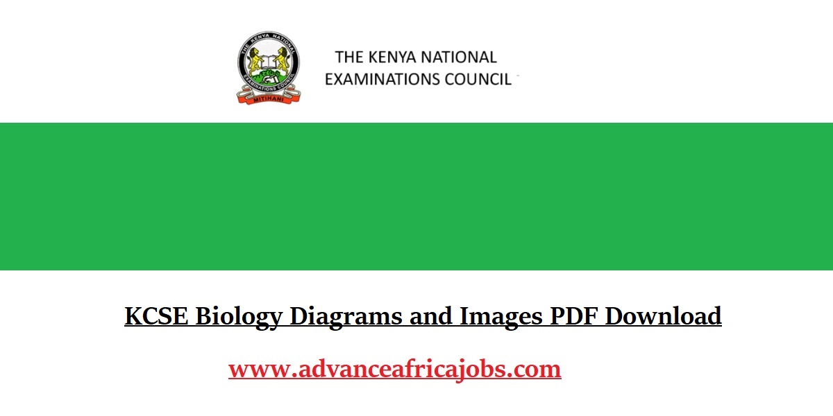 KCSE Biology Diagrams and Images PDF Download